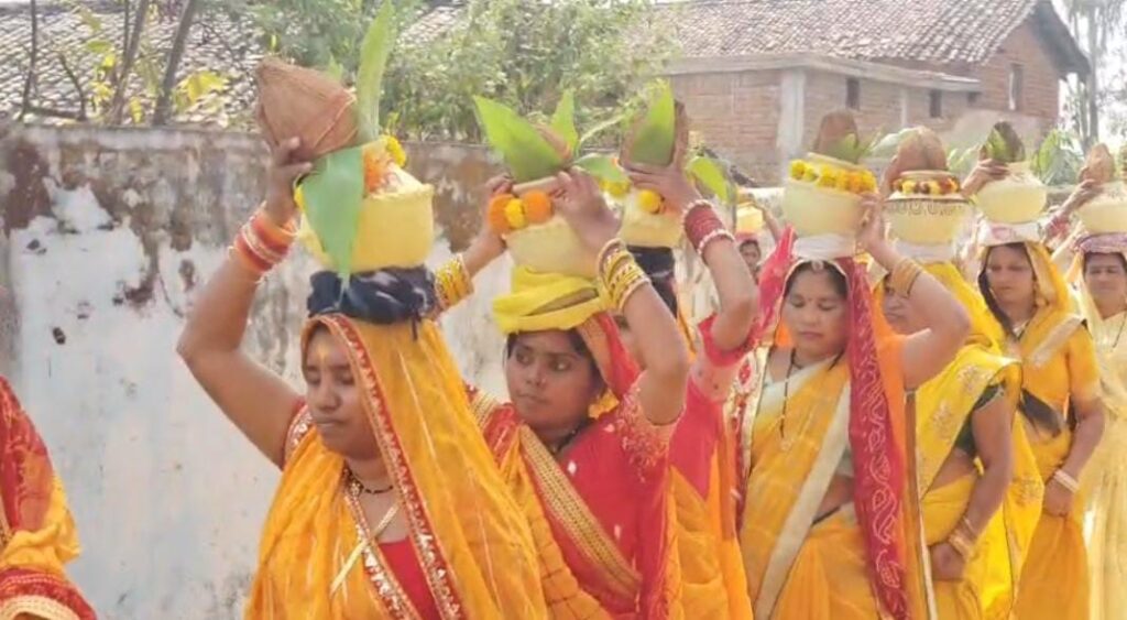 WhatsApp Image 2026-02-14 at 6.02.30 PM