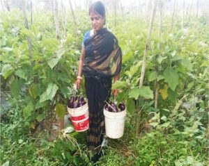 WhatsApp Image 2026-03-10 at 4.00.10 PM(1)