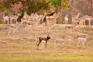 WhatsApp Image 2026-03-30 at 7.37.36 PM