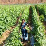 WhatsApp Image 2026-04-10 at 9.45.42 PM