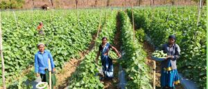 WhatsApp Image 2026-04-10 at 9.45.42 PM